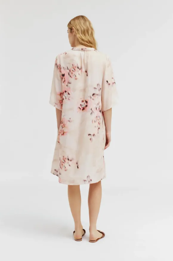 Gustav - Costa mekko, sand coral