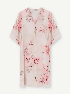 Gustav - Costa mekko, sand coral