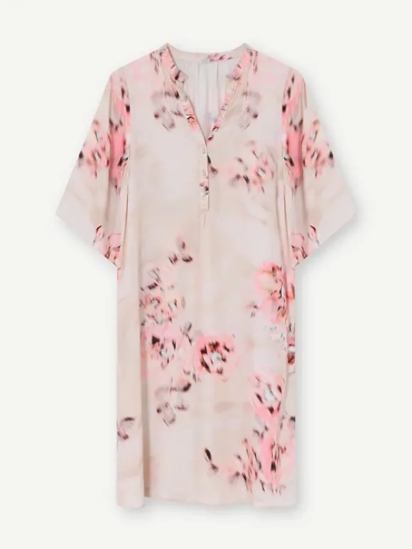 Gustav - Costa mekko, sand coral