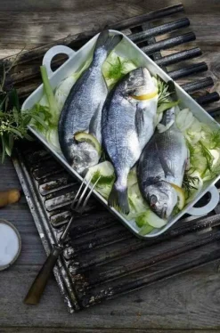 Pillivuyt - Toulouse Dish 2,2l (31x8cm)